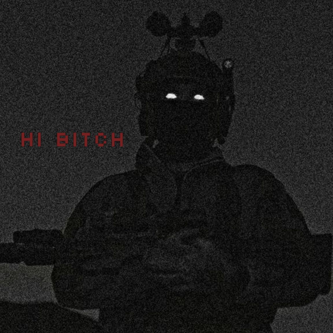 nightzz- FACEIT avatar