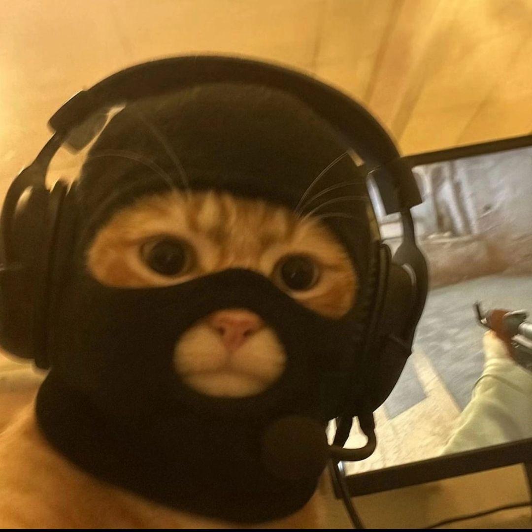 ALI___1