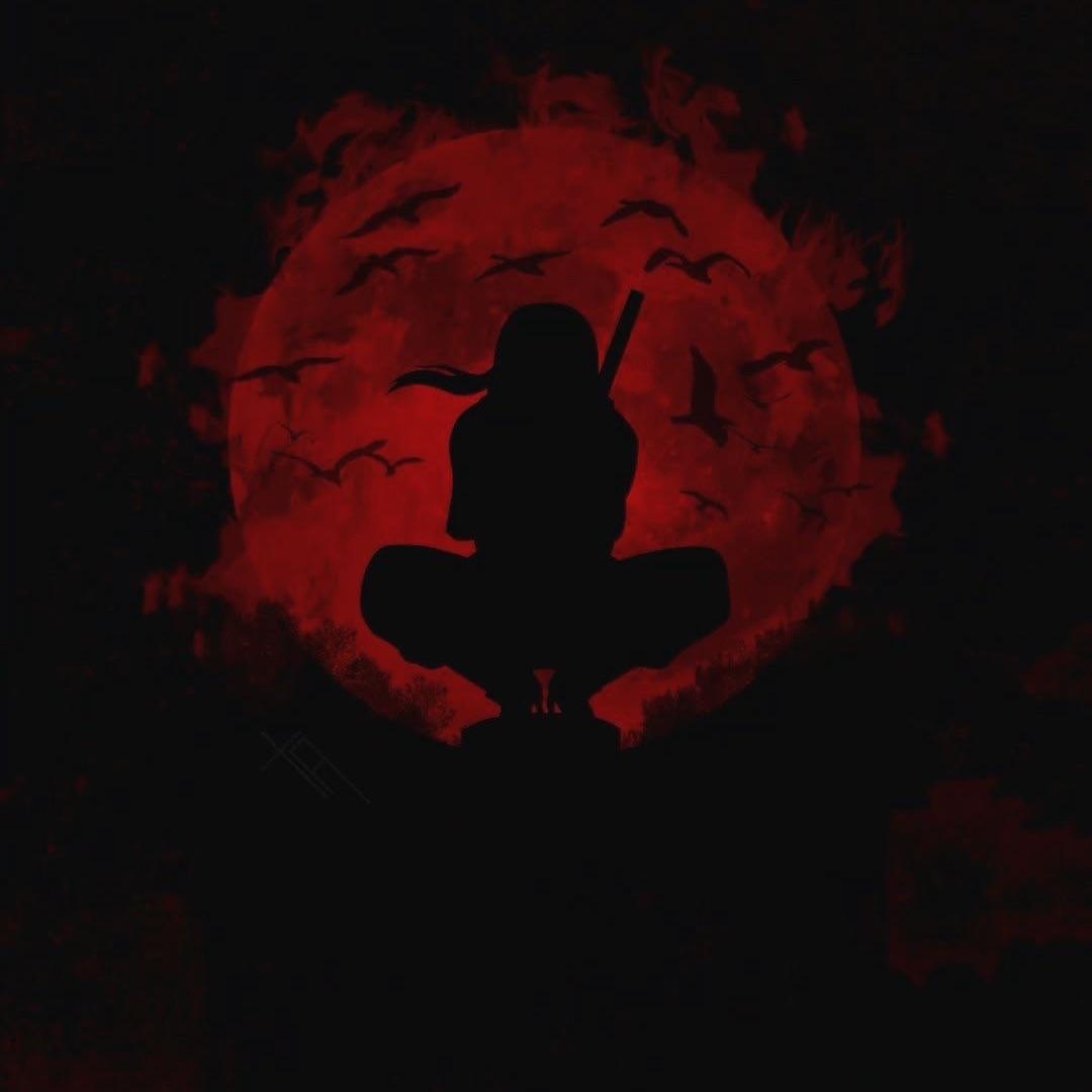 Asapkilla1 avatar