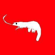 b_oppornik avatar