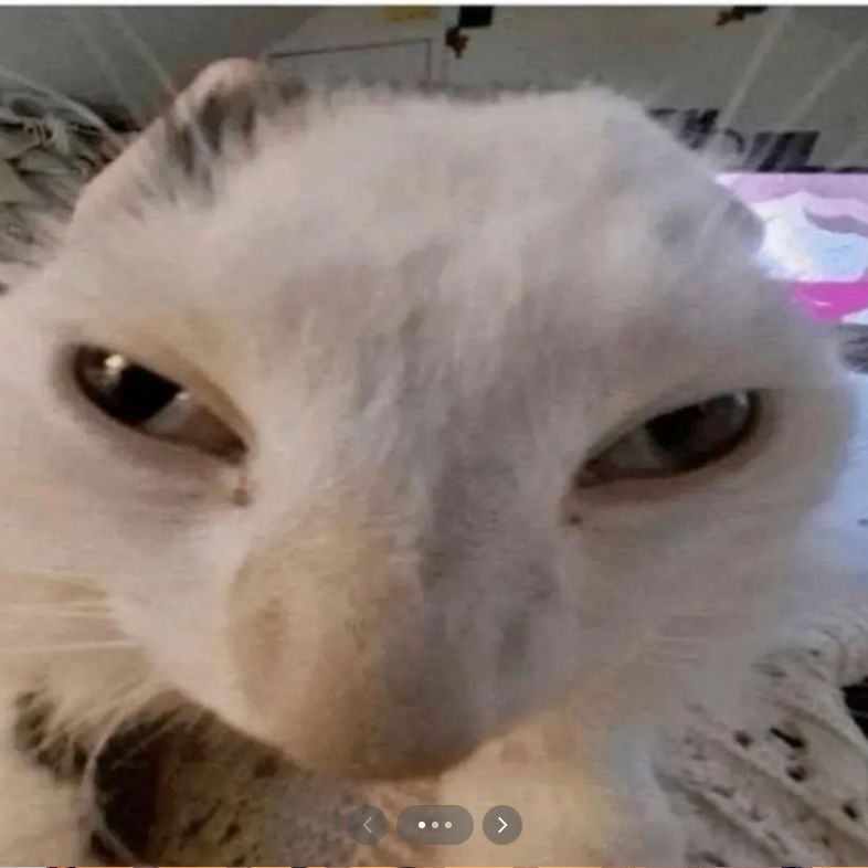 miensko123