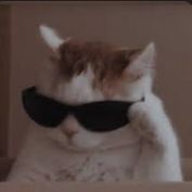 WudyyQ