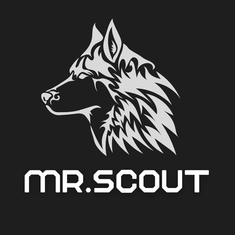 Player Mr-Scout avatar