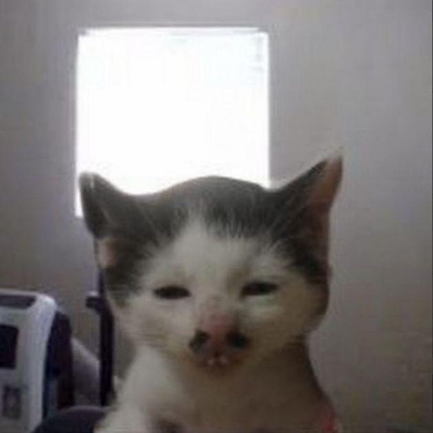 Akobrat avatar