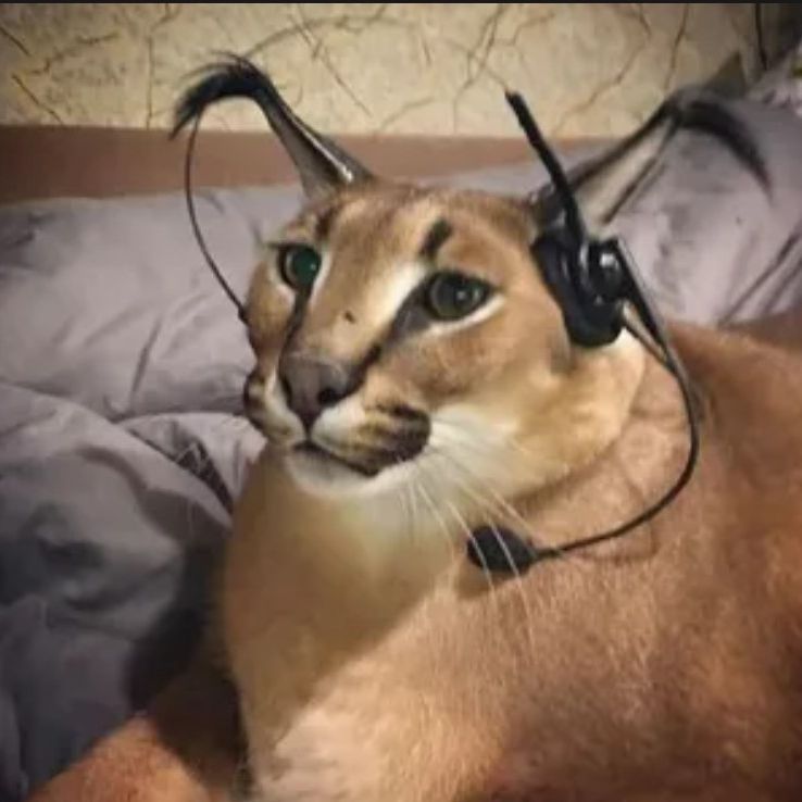 Def0lt-t avatar