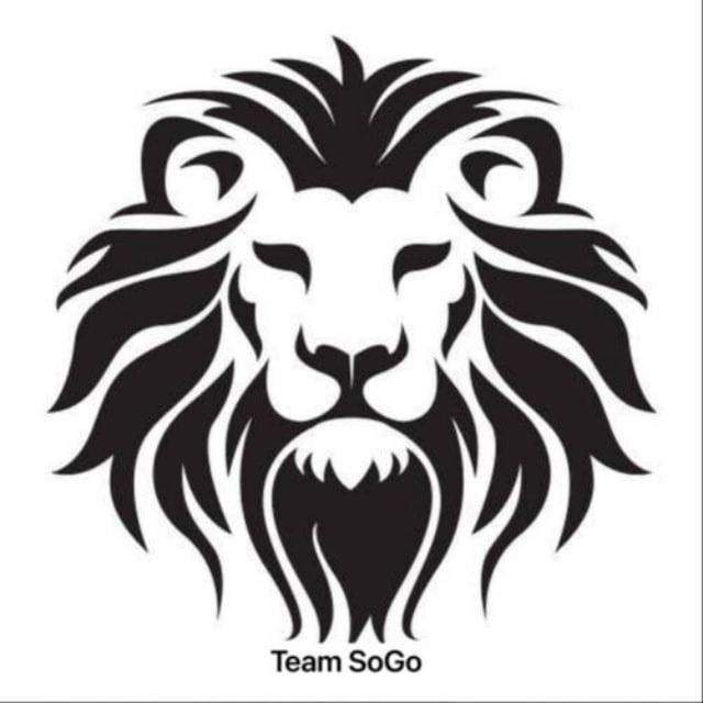 Team SoGo