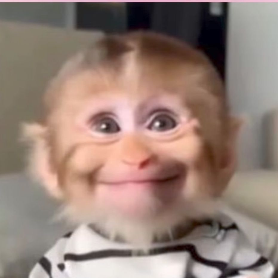 yopocoloco