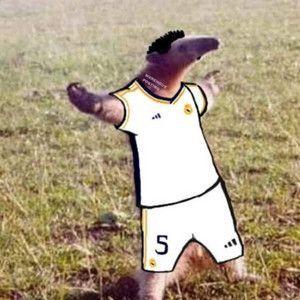 steffen656 avatar