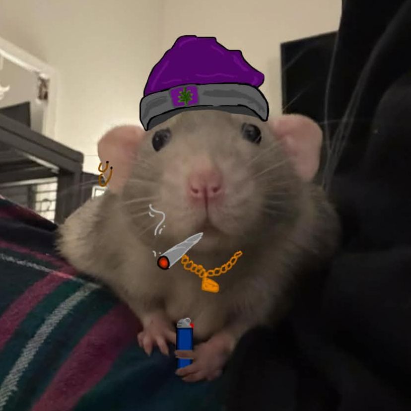 xackaiser