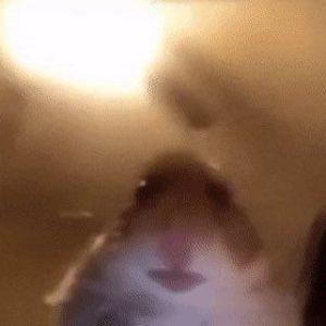 Borschau avatar