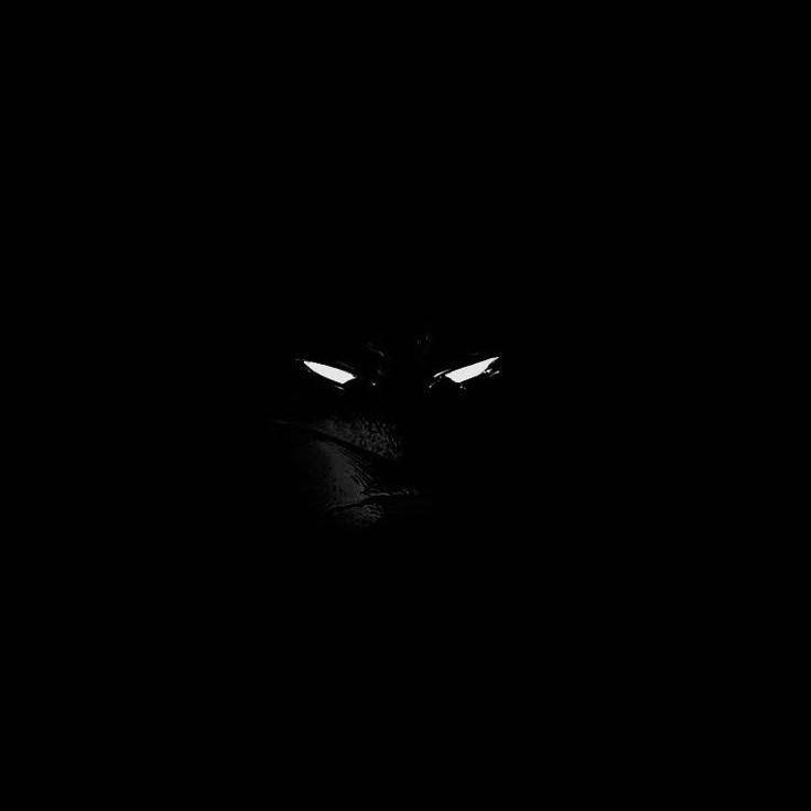 5sy avatar