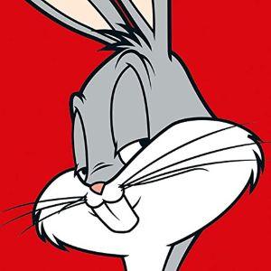 BugsBunny_17 avatar