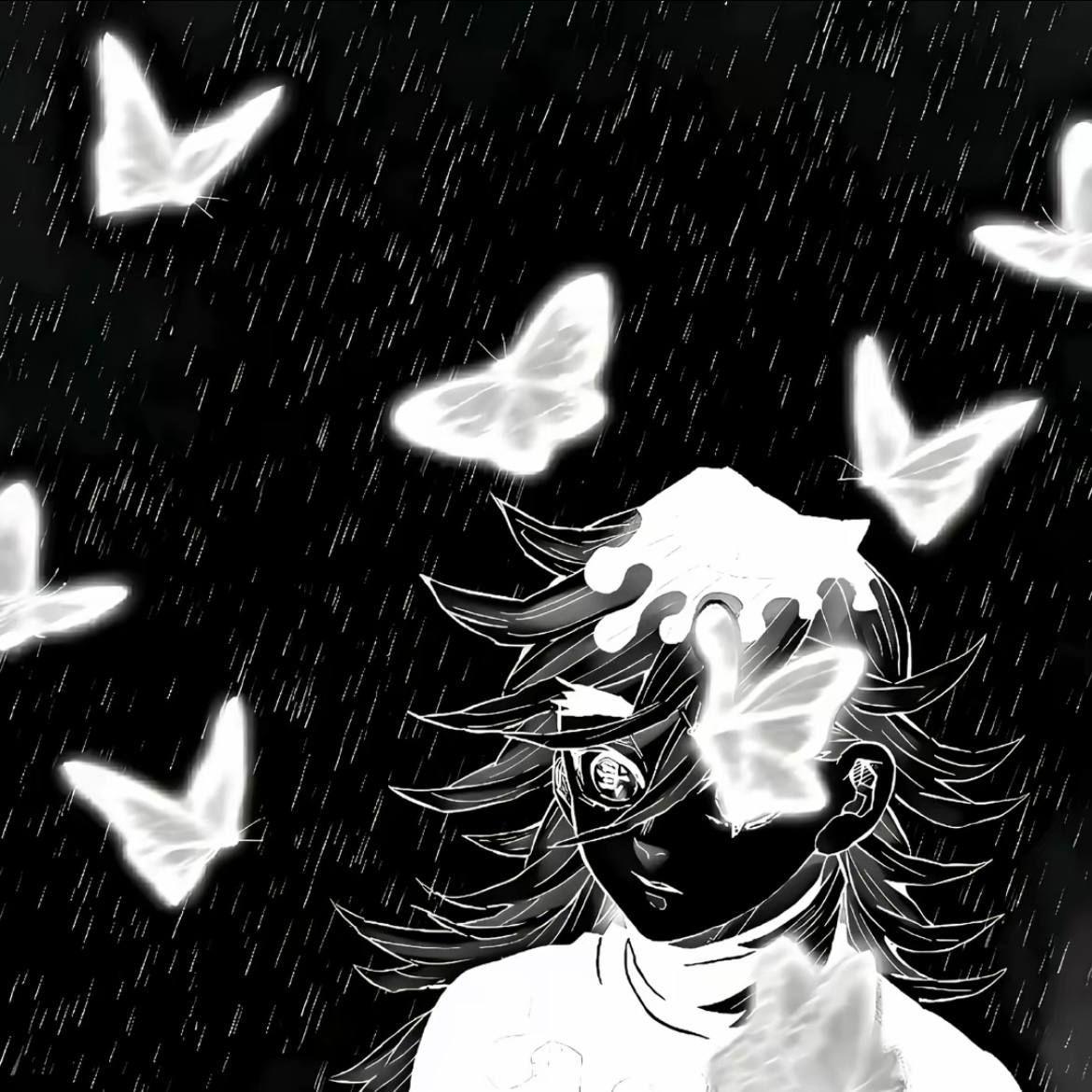 sh3ydd avatar