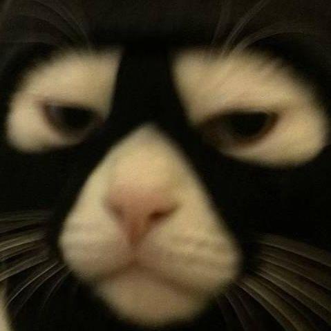 ttabiq avatar