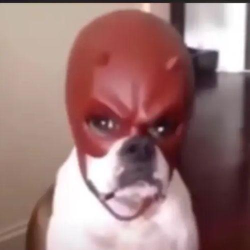 IWFJOSB avatar
