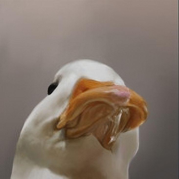 poppyd avatar