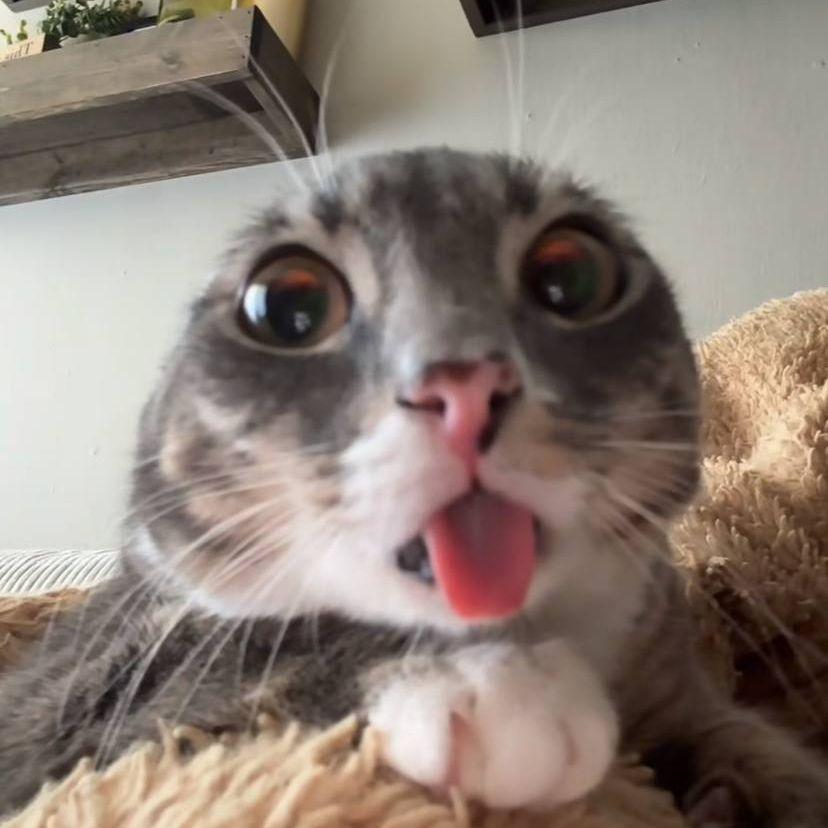 akyrrrrra avatar