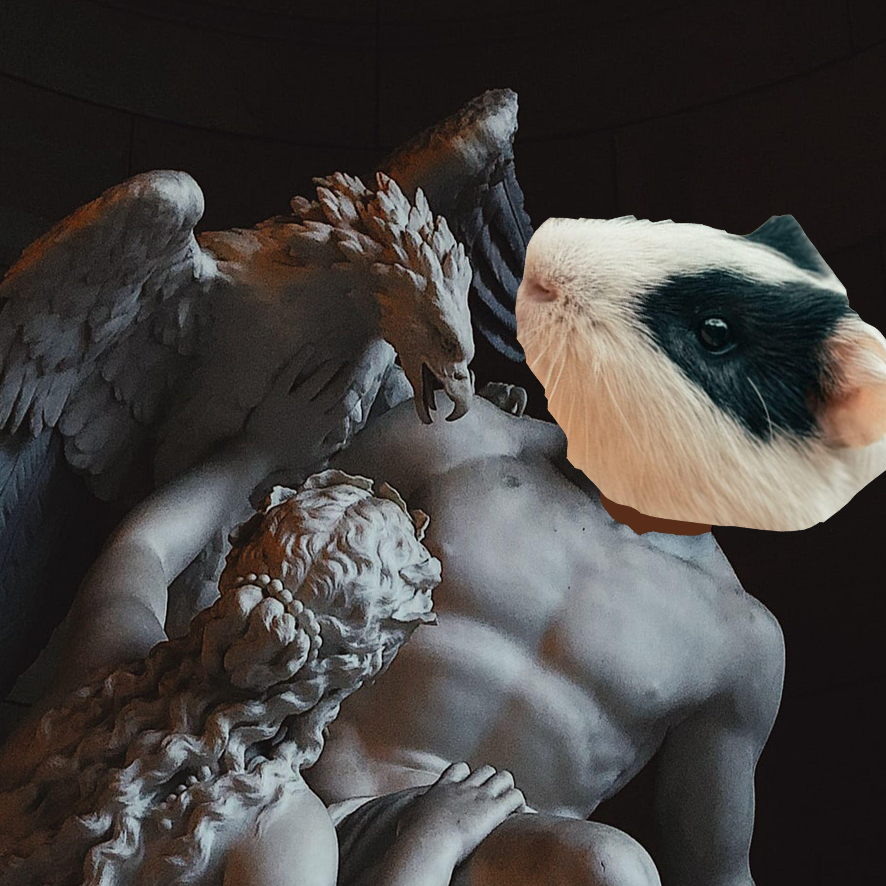 hamzt3r avatar
