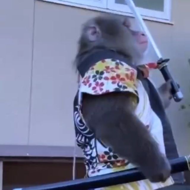 spacealI