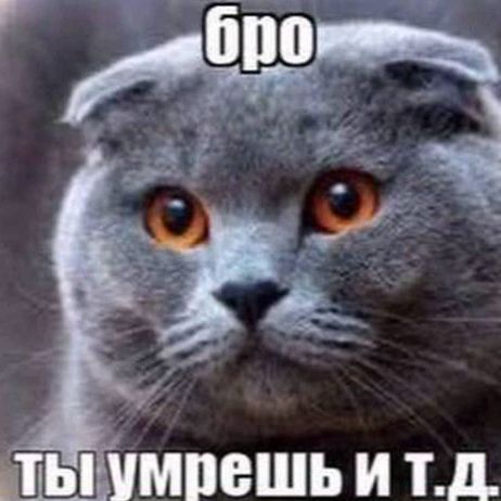 2kChervishe