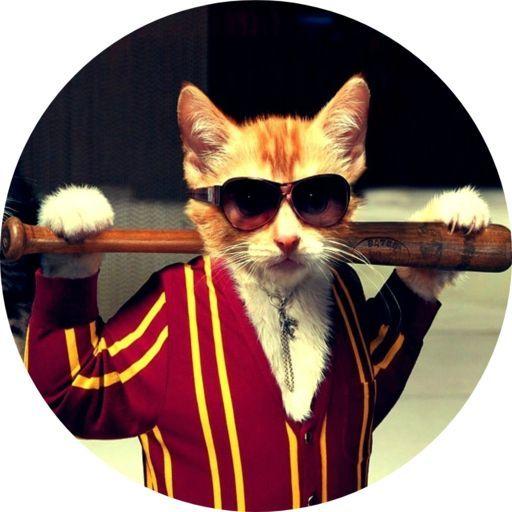 Boujee_Cat avatar