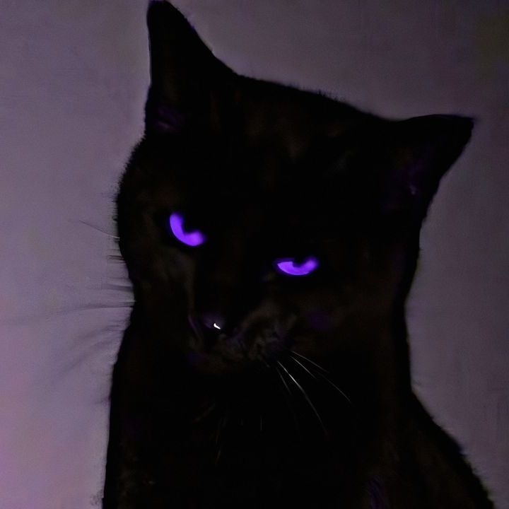 pzyy-