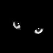 tarensin avatar