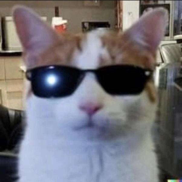 rakurzzz