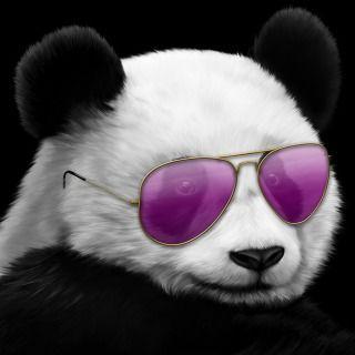 diichii avatar
