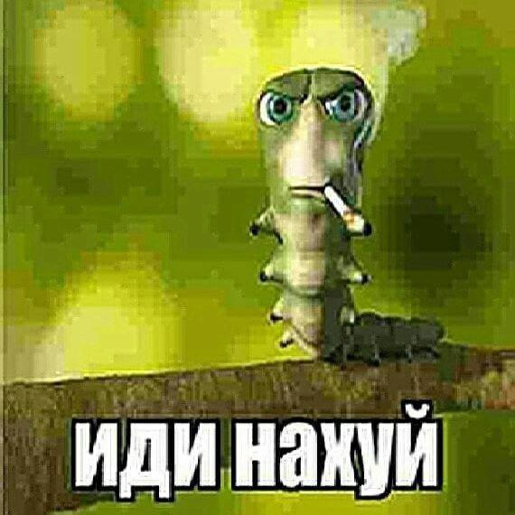 Mokujin4ik avatar