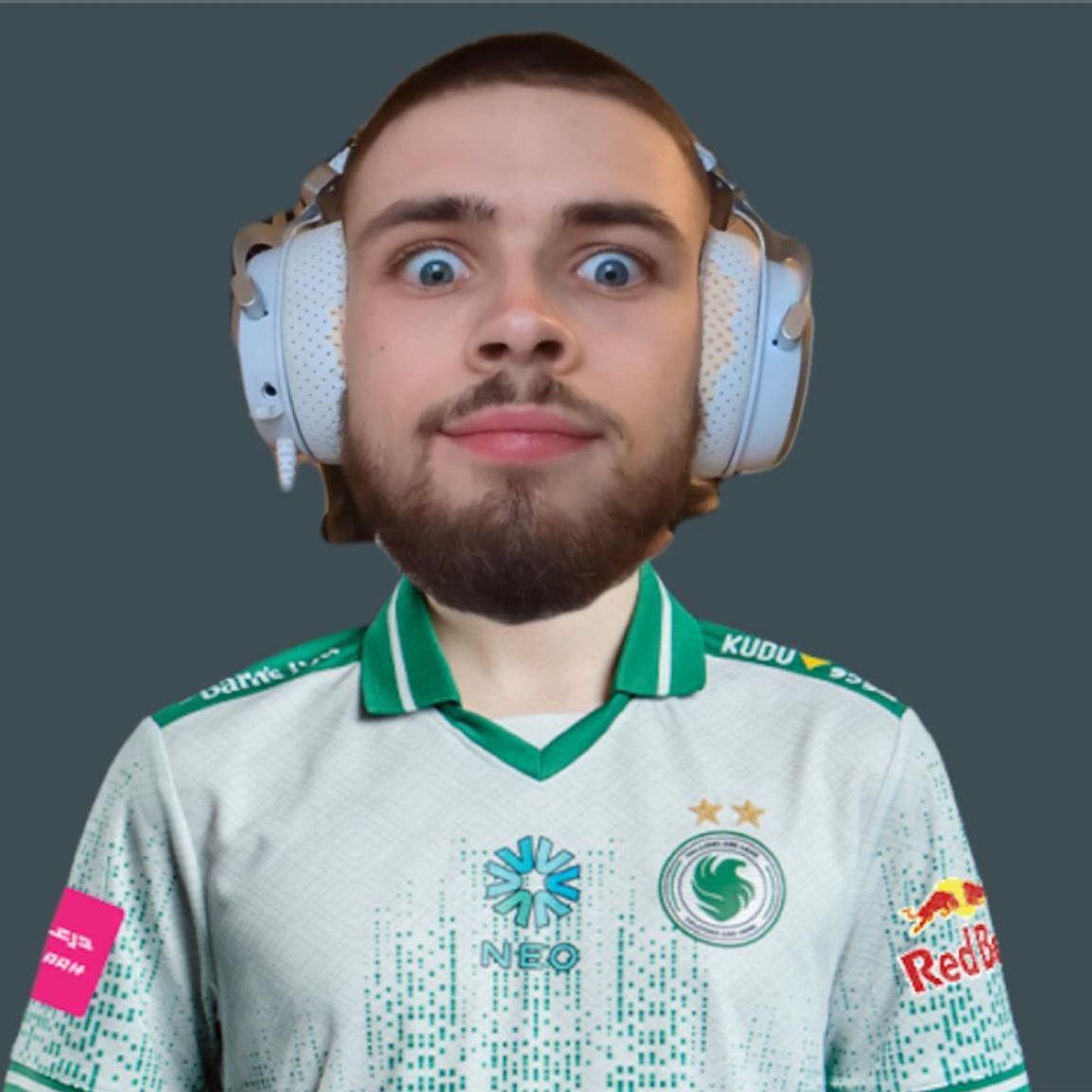 Gamerwin