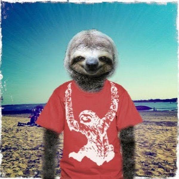 Toimp avatar