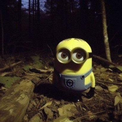 xtdjjj avatar