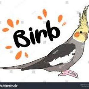 BirbiNator avatar