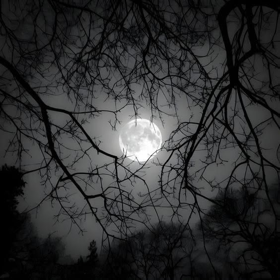 neVpraime0