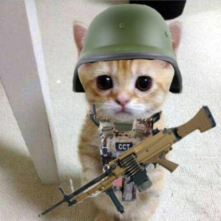 PAZORN1K5LT avatar