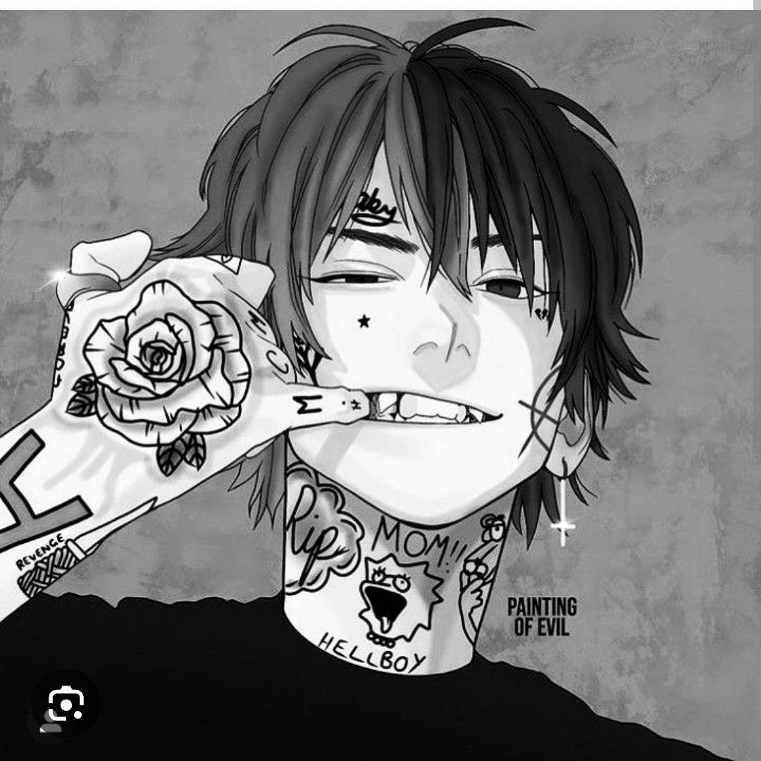 palo666