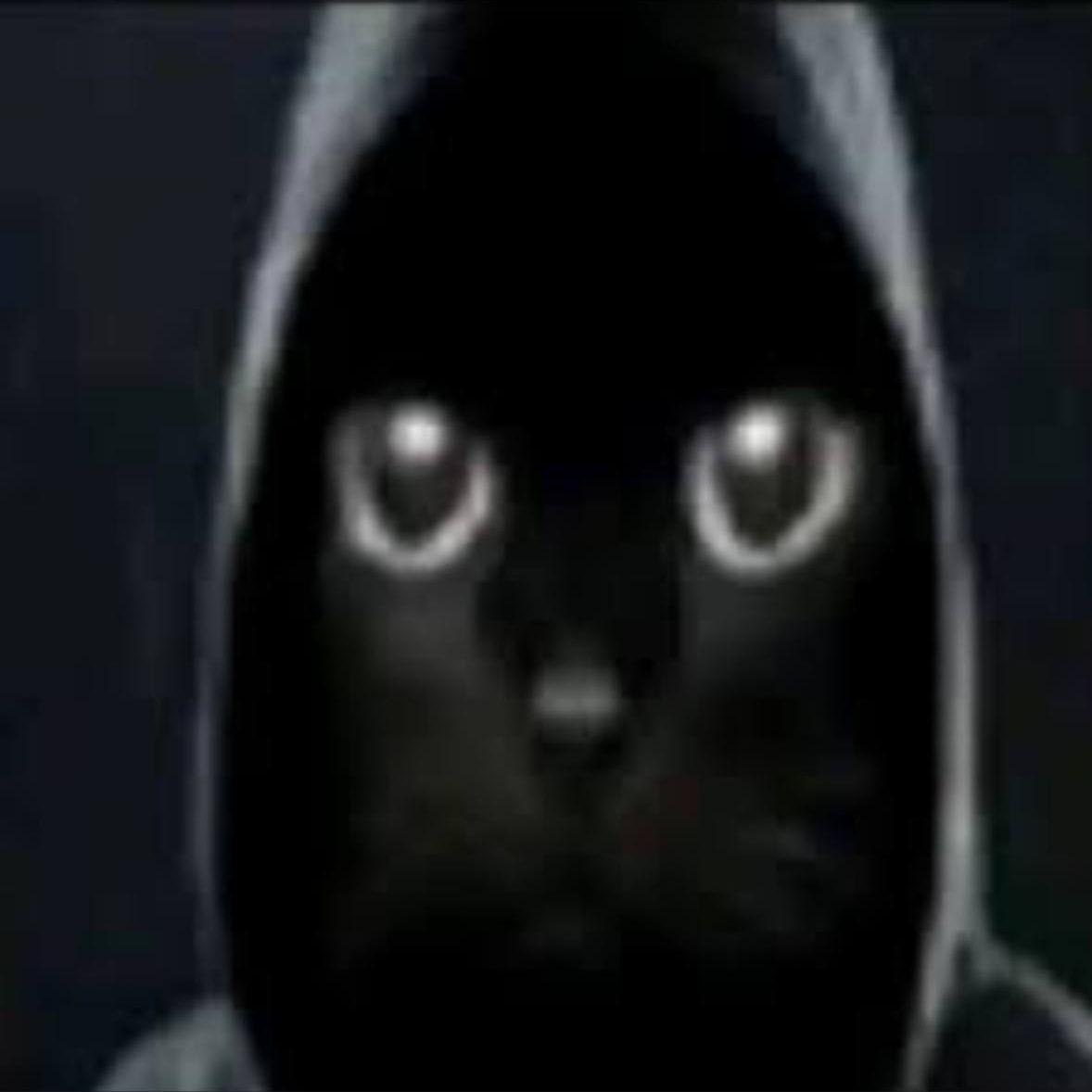 paranoiacs