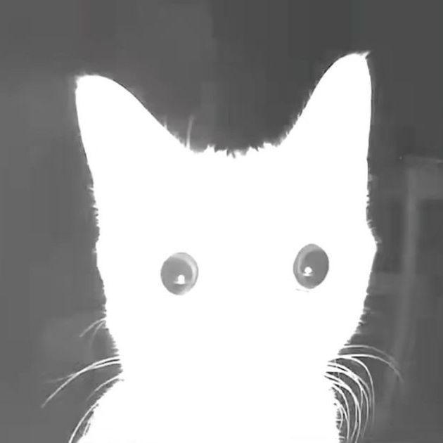 Dim_Dimuch avatar