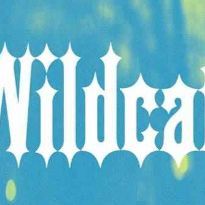 WildCatss