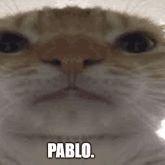 Memo-ludio