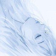 sh5w avatar