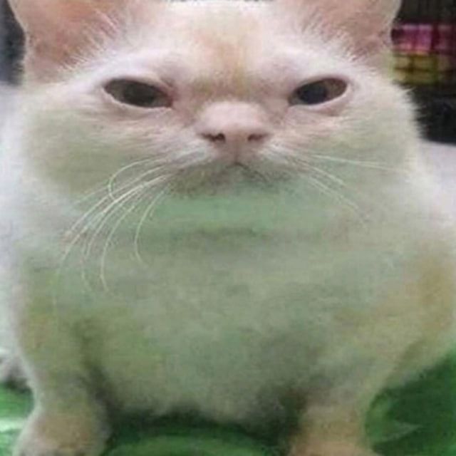MucTepKoBpuK