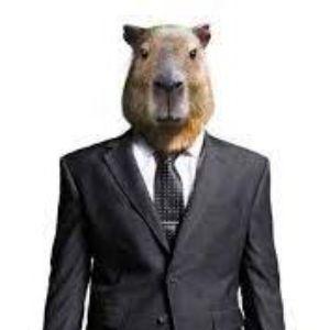 -CapybaraMan avatar