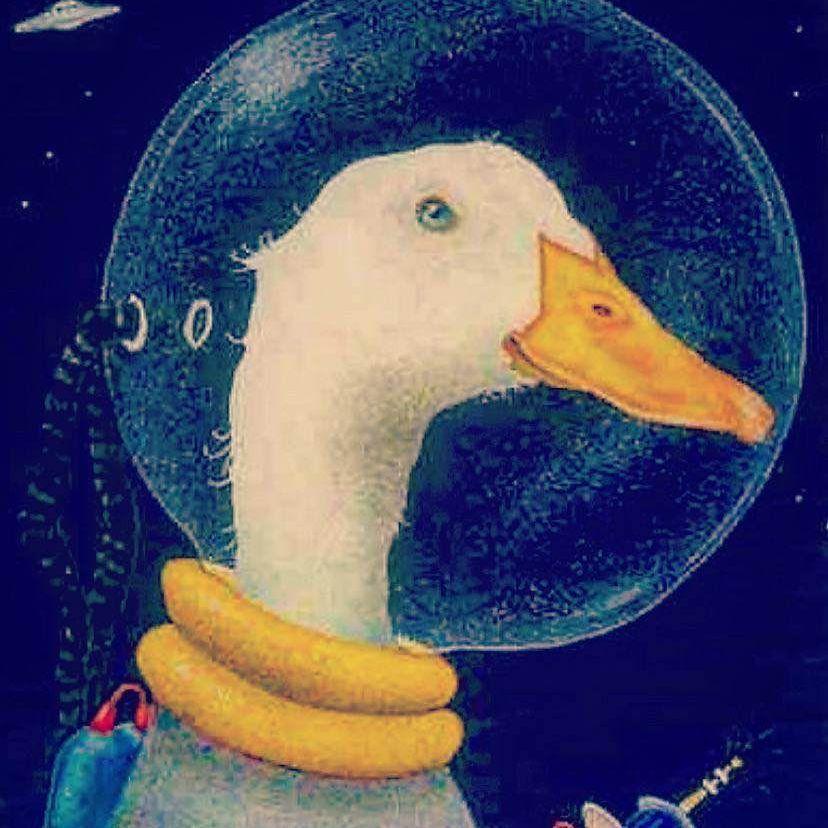 1Apolo1 avatar