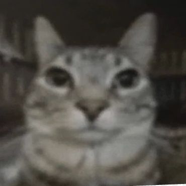Faceit Avatar