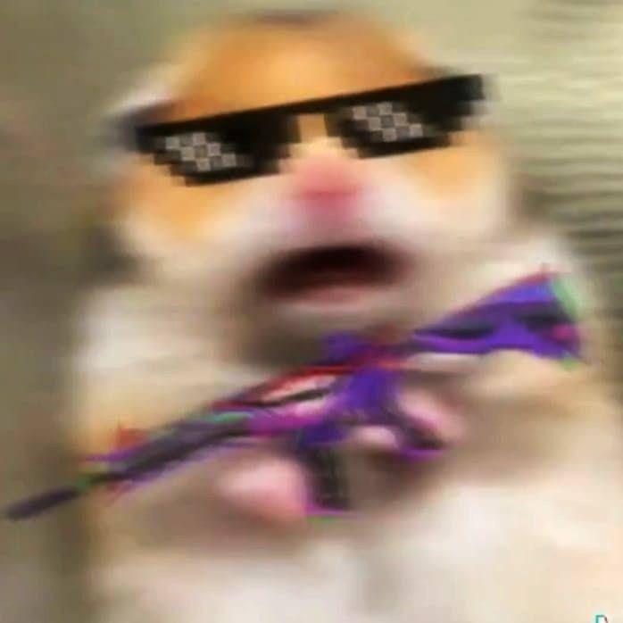 yuwy_ avatar