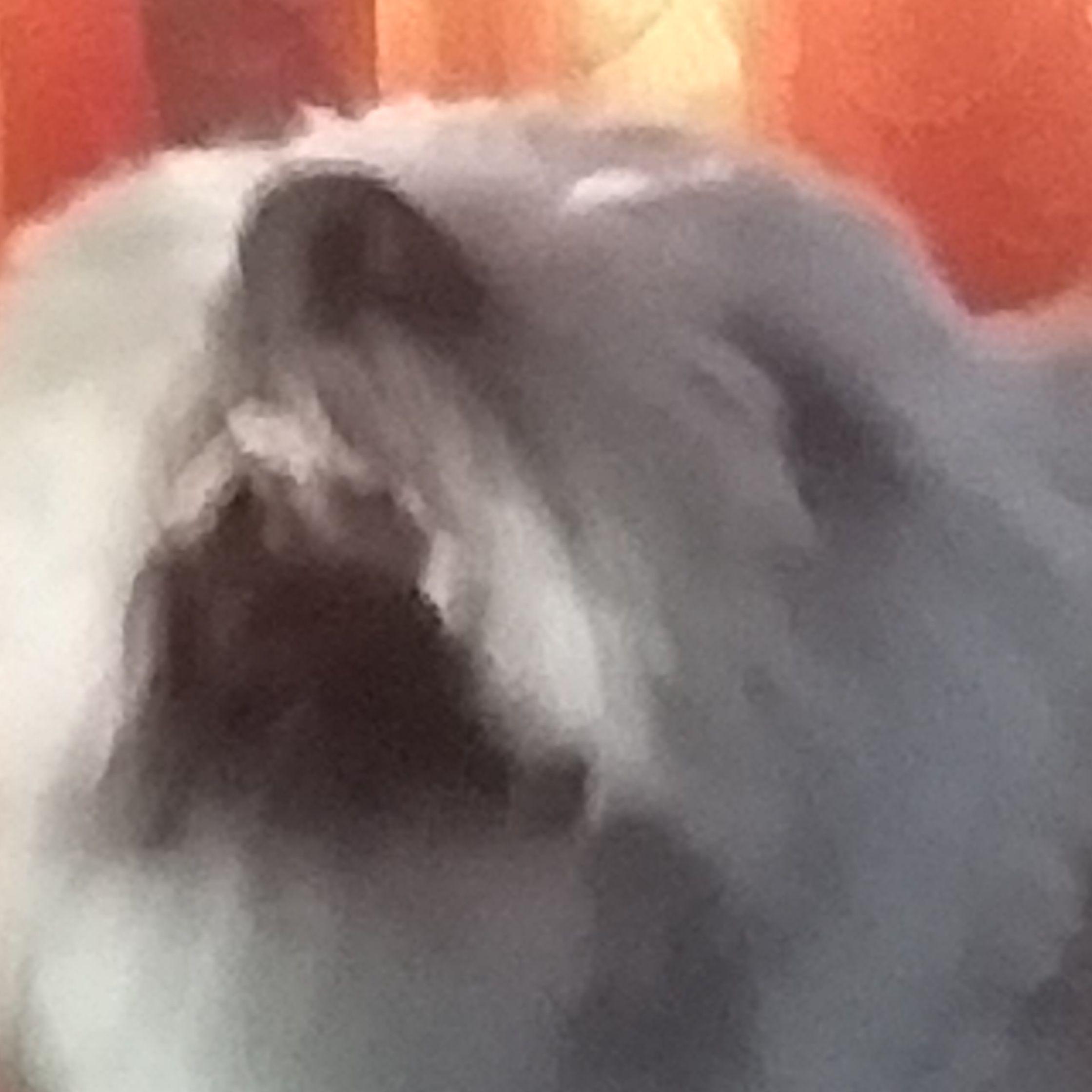 ghouzz