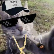 IMP0SSIBLE avatar