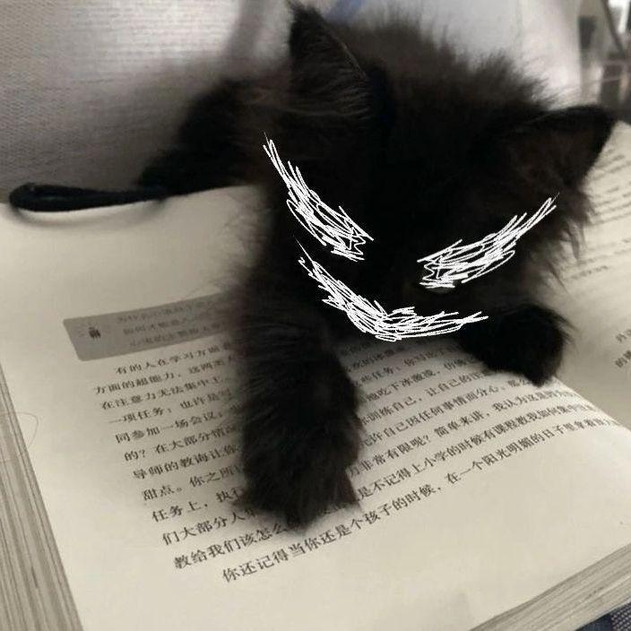 hiqeru avatar